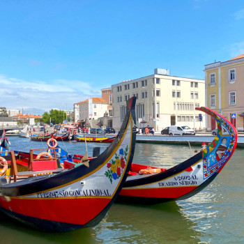 Aveiro's Moliceiros